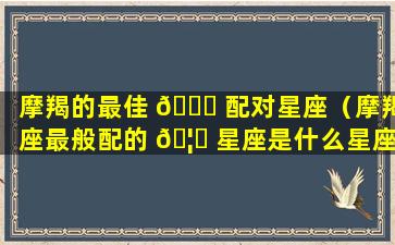 摩羯的最佳 🍀 配对星座（摩羯座最般配的 🦆 星座是什么星座）